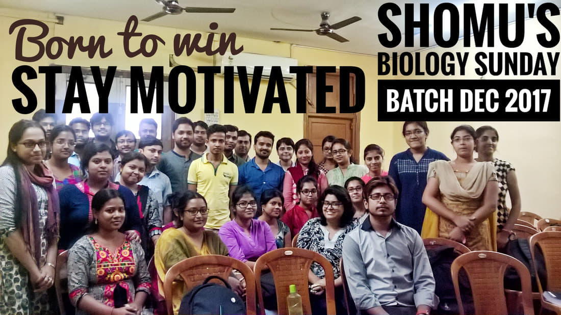 Shomu's Biology Shomu's Biology: Gallery photo 2